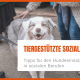 Tiergestützte Sozialarbeit: Tipps für den Hundeeinsatz in sozialen Berufen